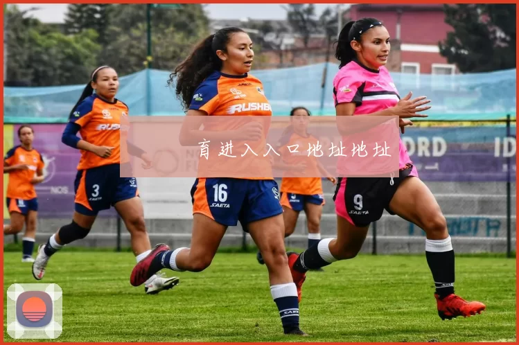 開雲體育进入入口地址地址