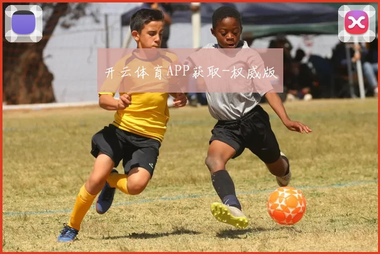 开云体育APP获取-权威版