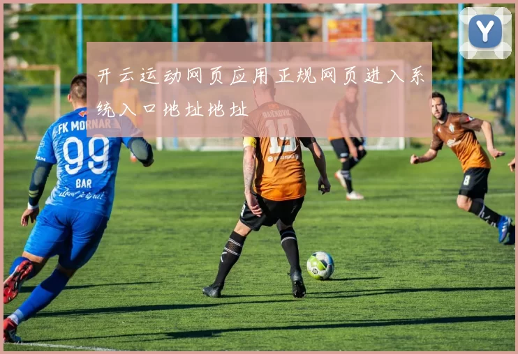 开云运动网页应用正规网页进入系统入口地址地址