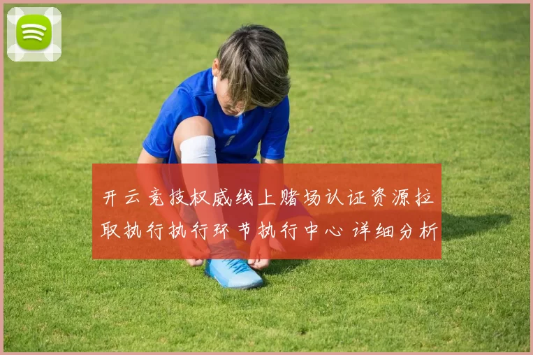 开云竞技权威线上赌场认证资源拉取执行执行环节执行中心 详细分析