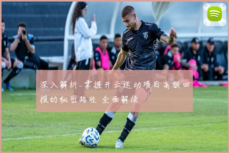 深入解析_掌握开云运动项目高额回报的秘密路径 全面解读