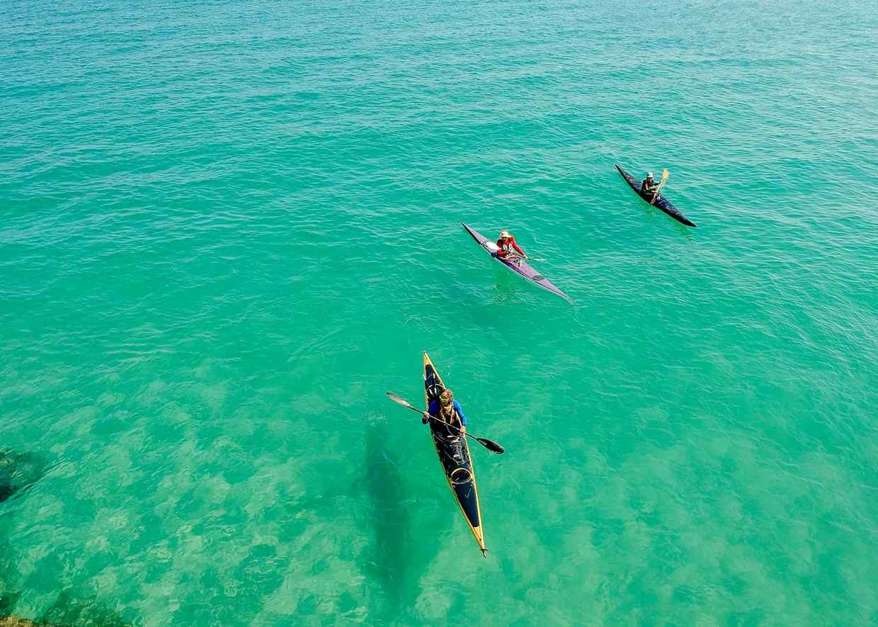 开云竞技官网下载安装获取app